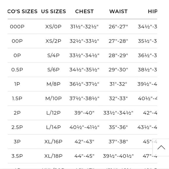 NWT CHICO’S Mountain Lynx V Neck Tunic Pullover Sweater Sz OP Cashmere b… - Picture 7 of 7